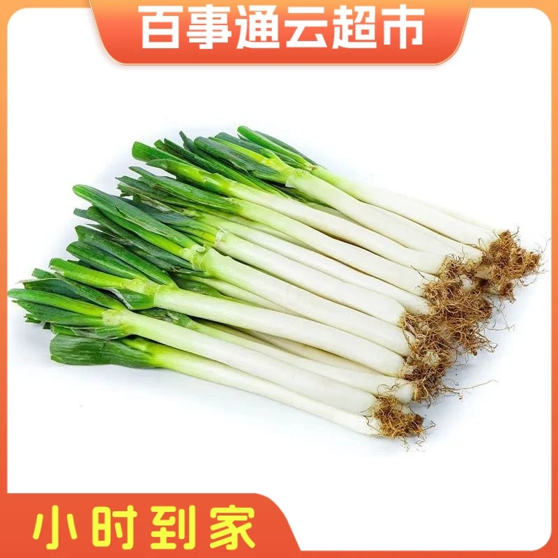 山东大葱1000g左右