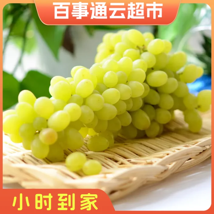 新疆马奶提2500g左右