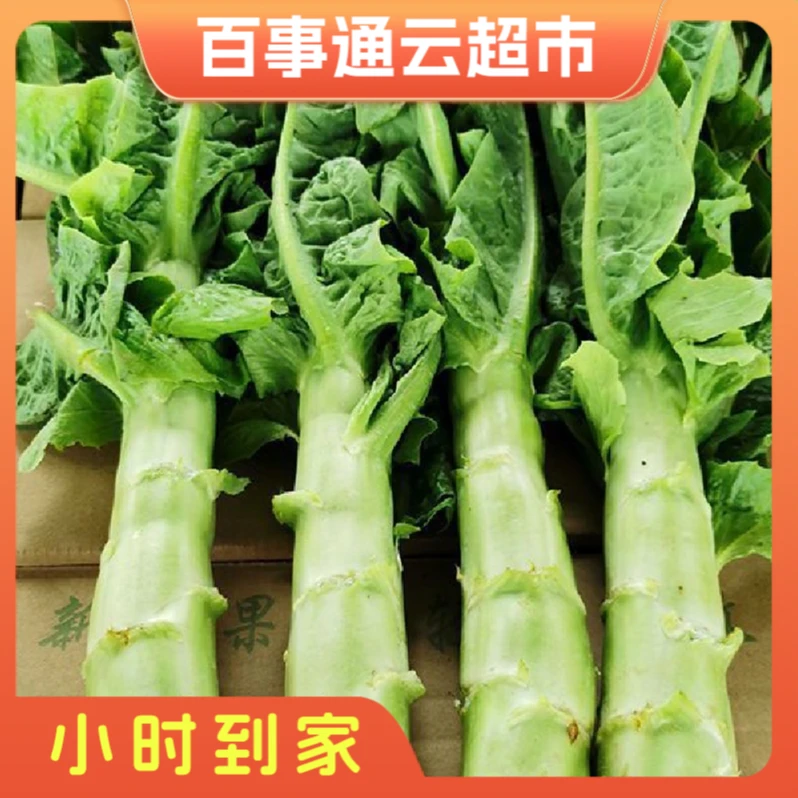 山东莴笋新鲜农家自种翠绿蔬菜