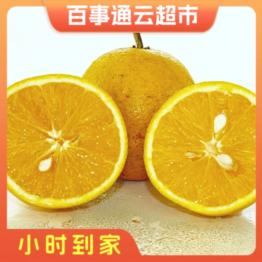 安徽金燕橙2斤