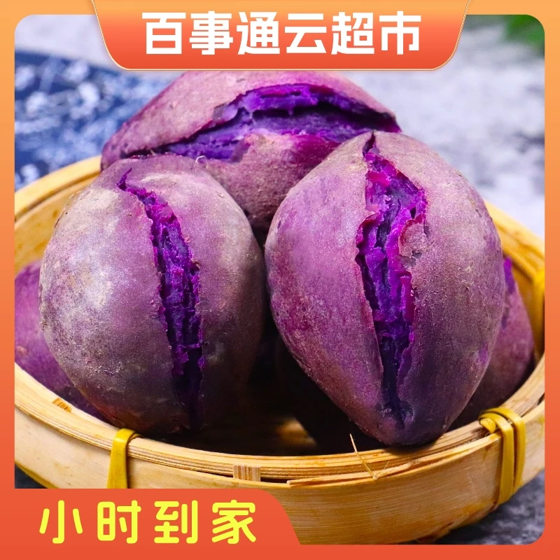 山东紫薯2斤左右紫薯