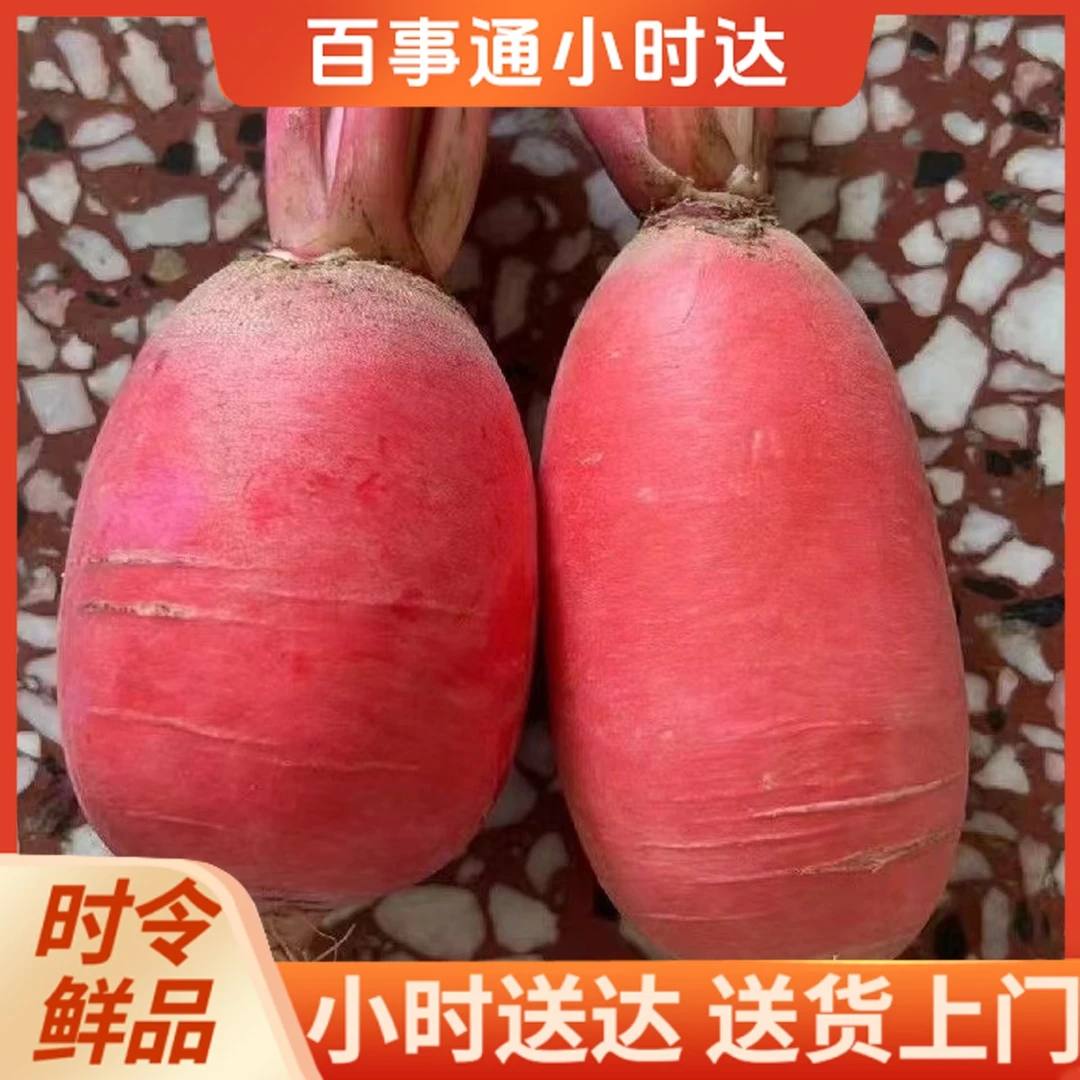 苏北农家自种萝卜红皮萝卜3斤左右