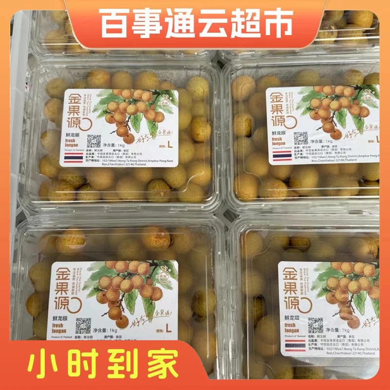 XL 级果金果源盒龙眼1盒2斤左右