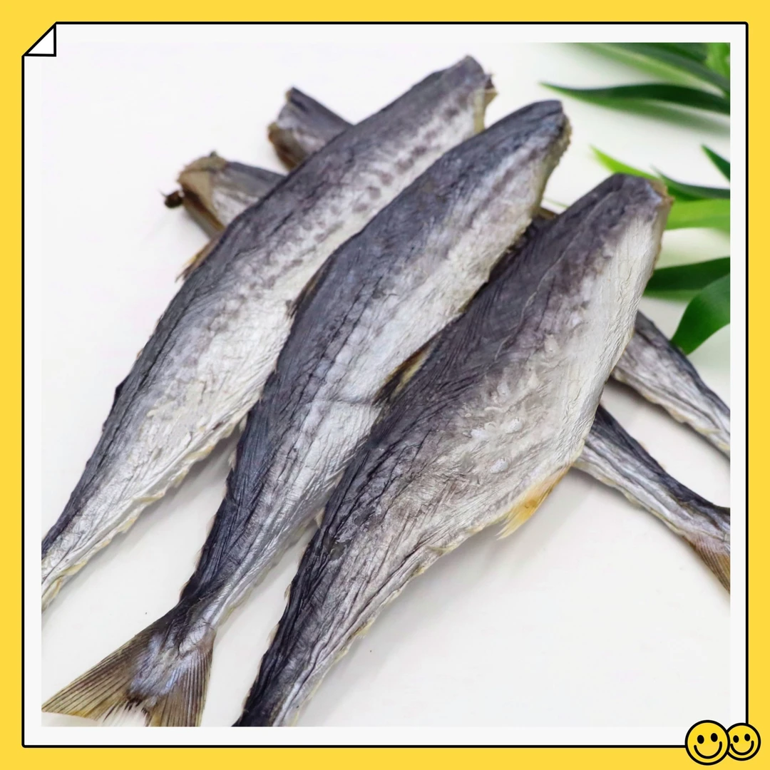 【马鲛鱼干】台山鲜香马鲛鱼 淡干咸鱼去头鱼干 500克特产 风干鱼尾