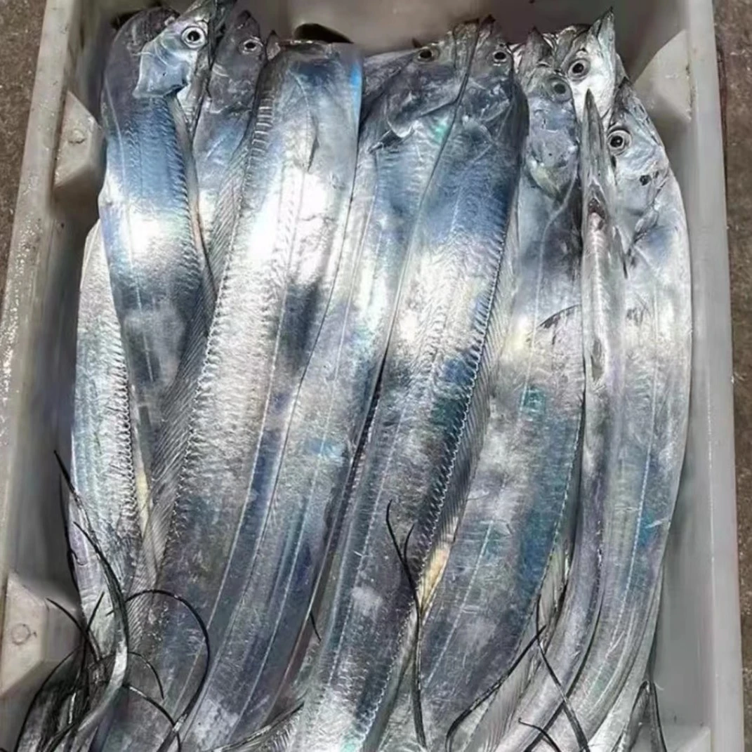 鲜带鱼2斤带鱼同城送