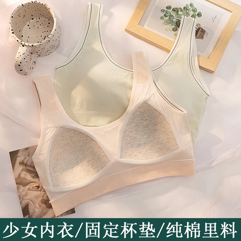 初中生棉少女专用内衣发育期小背心学生少年无痕高中生大儿童文胸