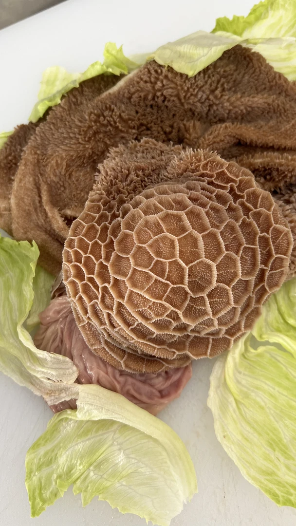 清真山羊羊肚（拍3发5本色羊肚含水分含油脂，整套羊大小肚羊食管）