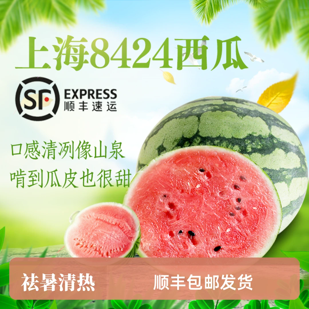 正宗南汇8424头茬西瓜很甜好吃爆汁皮薄多汁爽脆甜甘甜包邮赔夏天