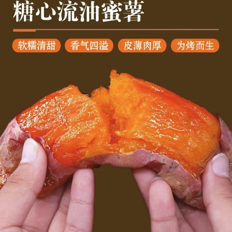 山东烟薯25红薯5斤农产品蜜薯皮薄香甜饱满地瓜健康美味好吃糖心