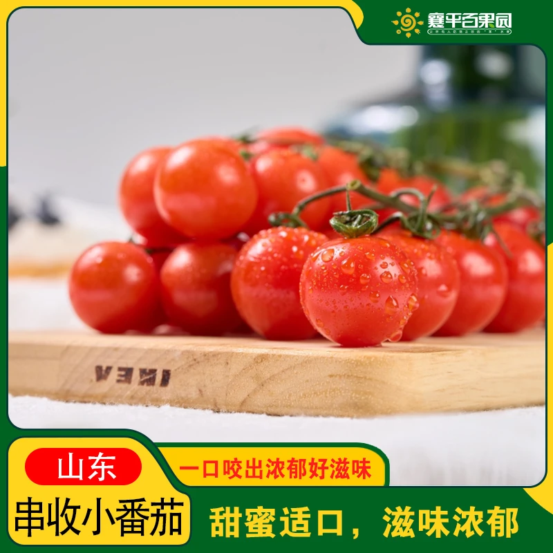 【店长推荐】串柿子小番茄约500g口感清香 清甜爽口
