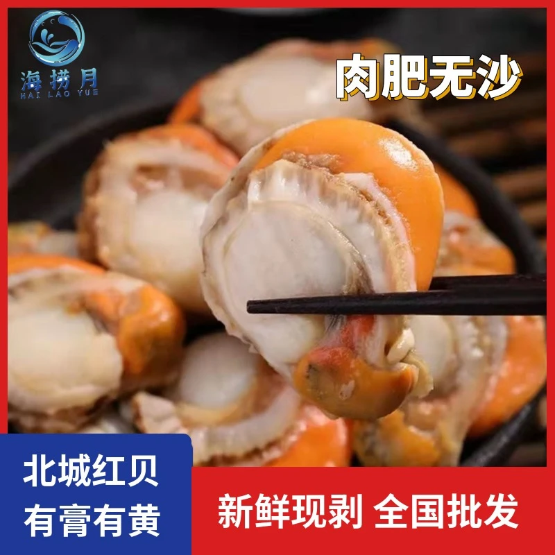 1kg扇贝肉新鲜真空装带黄大扇贝鲜活新鲜黄蚬子大号冷冻海鲜水产