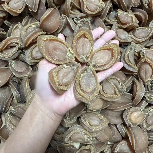 永洋汇 23头 南吉干货 溏心干鲍 500g