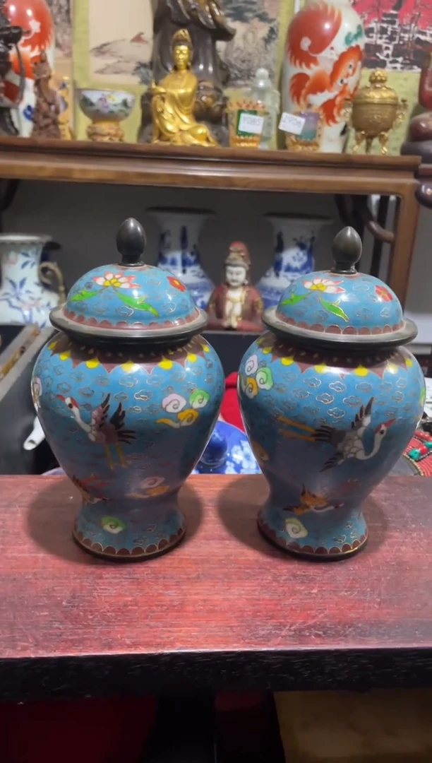 【闪购商品】瓷片主播推荐精美好物