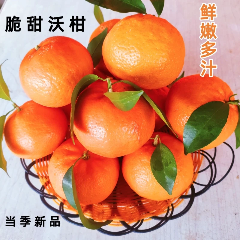 湖南沃柑新鲜水果皮薄多汁香甜柑橘