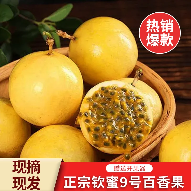 广西钦蜜9号百香果黄金百香果天然香甜多汁现摘现发CZ