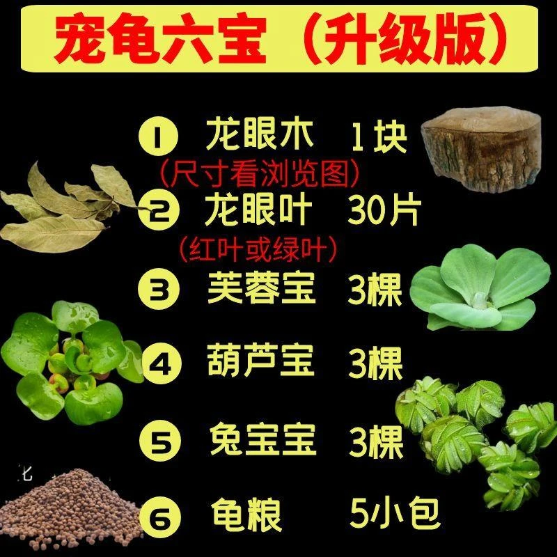 龟缸鱼缸水质稳定剂乌龟晒台水草食用水生植物造景净化无毒无味
