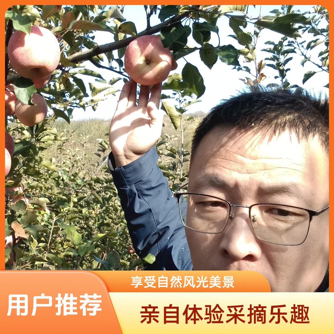 烟台苹果 脆甜多汁