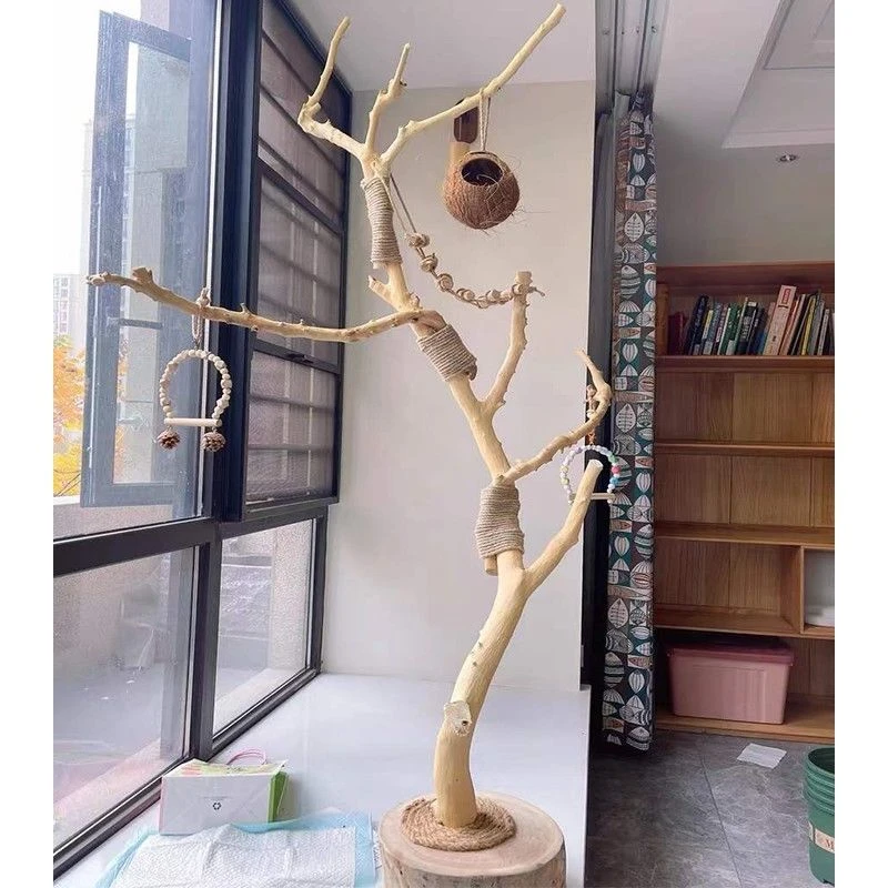 干树枝原木杈艺术干枝枯木树干鸟站架造型壁鹦鹉站架吊顶龙骨装饰