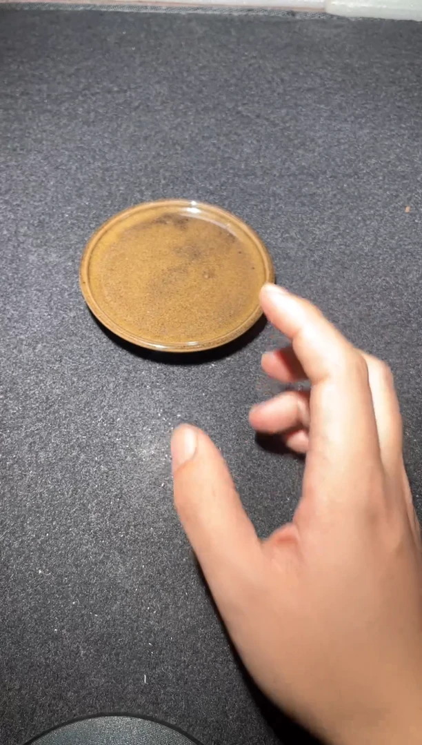 【闪购商品】茶盏383