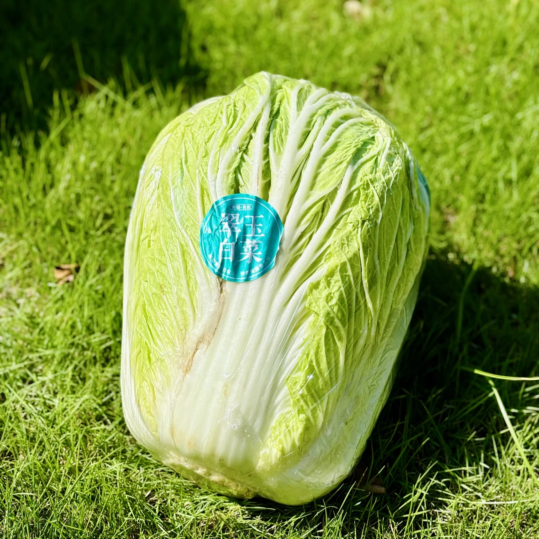 有机翠玉白菜甘甜纤维细新疆天山雪水灌溉