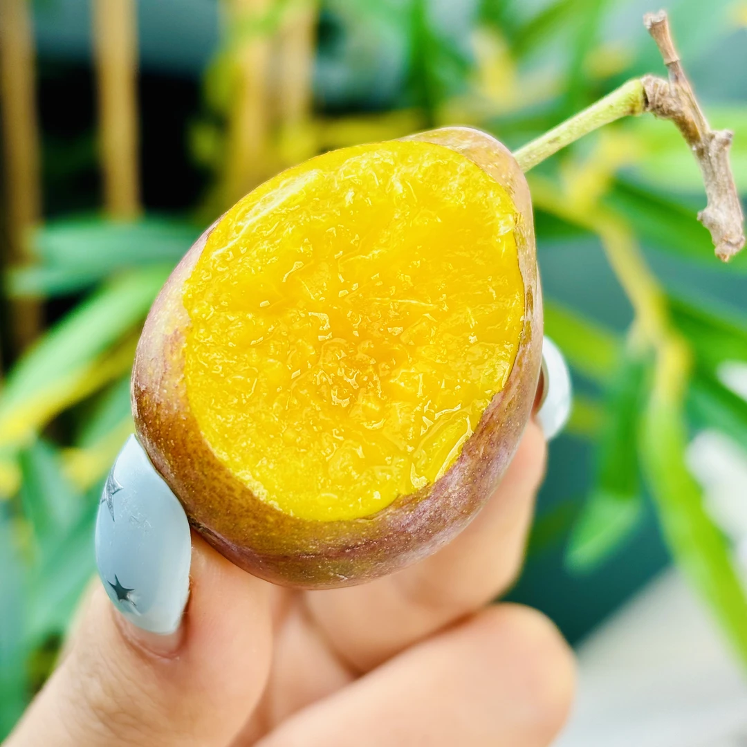 法兰西小西梅纯甜几乎无酸肉厚甘甜汁水充沛香甜爽口新疆喀什产区