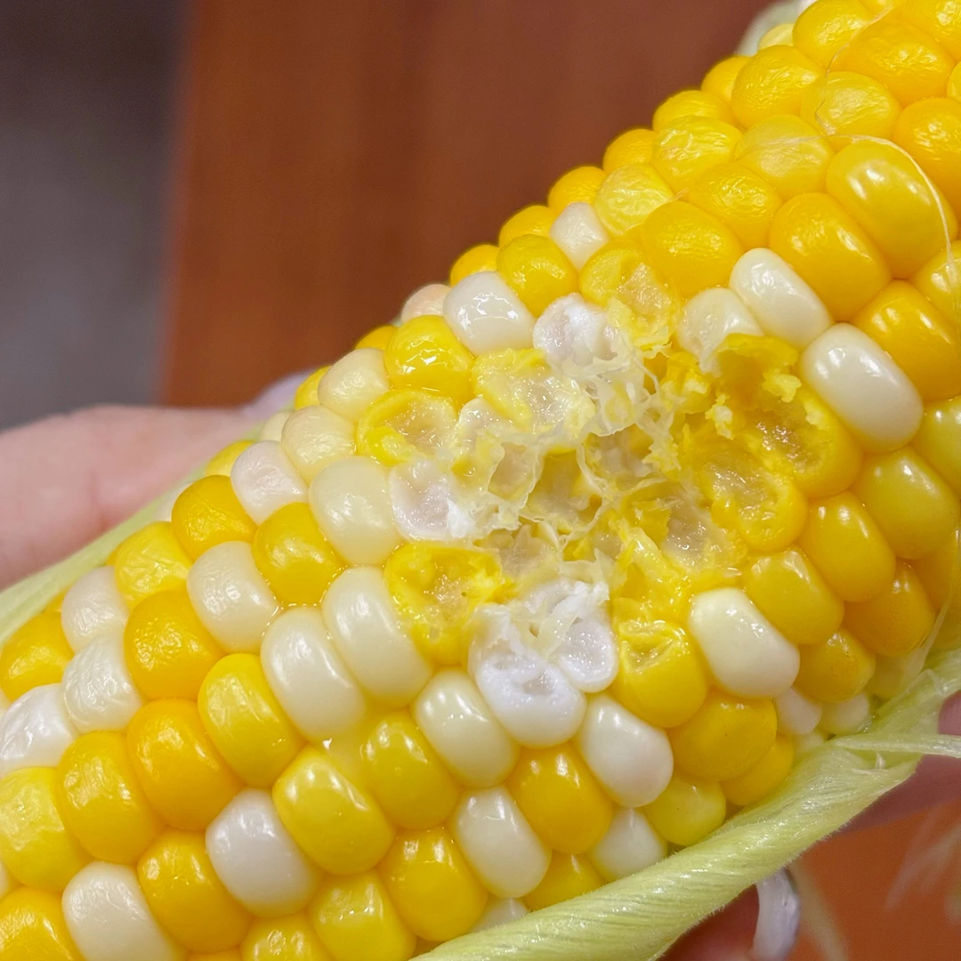 云南水果玉米口感细腻甜无渣爆汁颗粒饱满5根3斤以上蒸5分钟吃