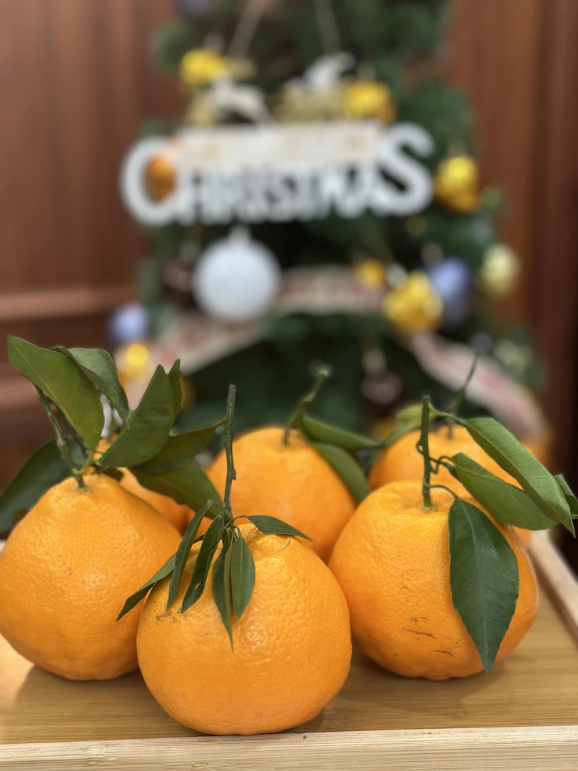 耙耙柑（2斤4-6枚）