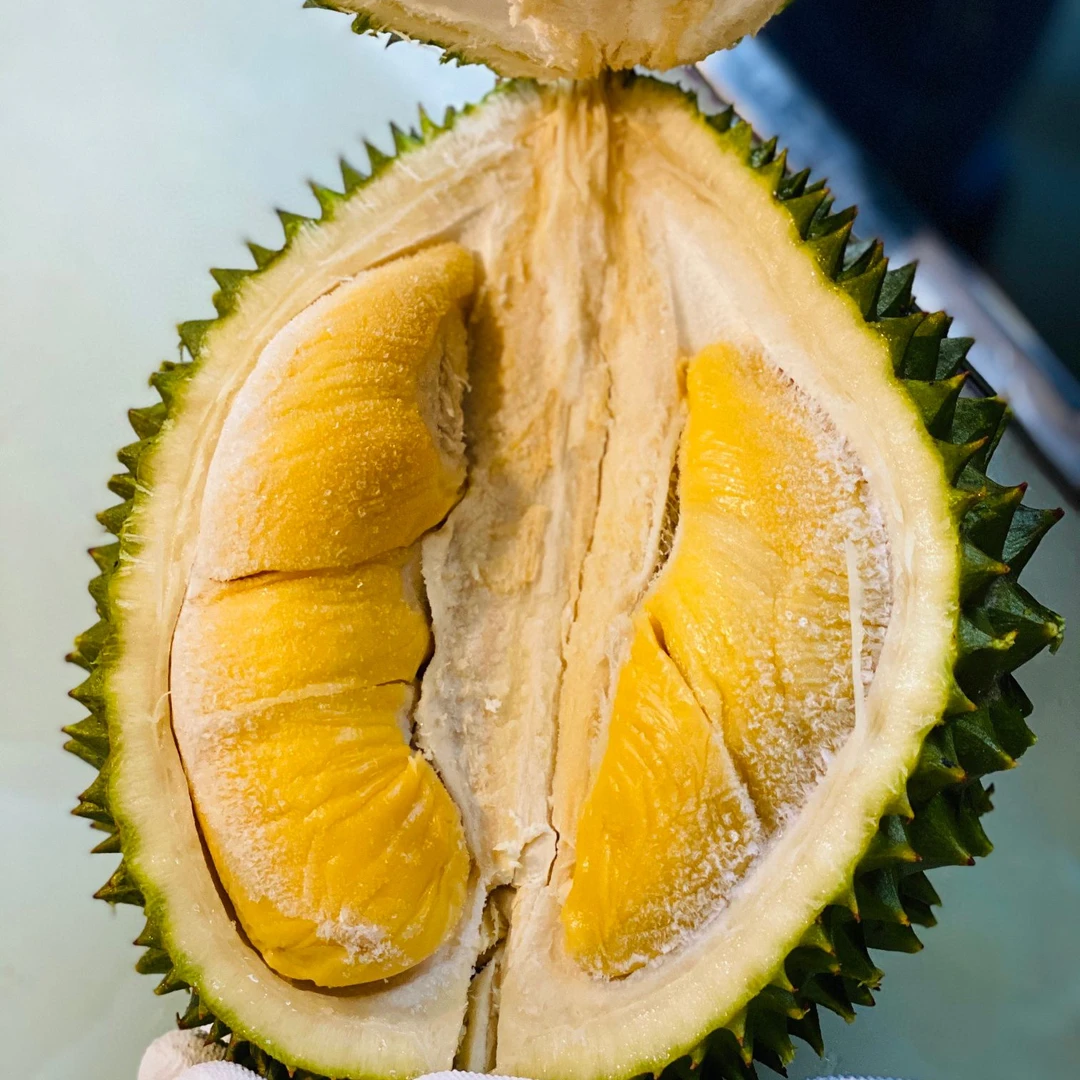 马来西亚D197液氮冷冻猫山王榴莲空运包5房肉咖啡般微苦果肉丝滑