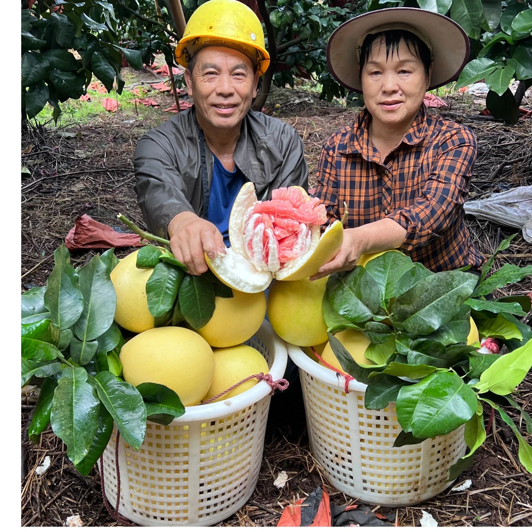 正宗梅州松口红心蜜柚新鲜水果应季水分饱满5-18斤梅州原产地直发