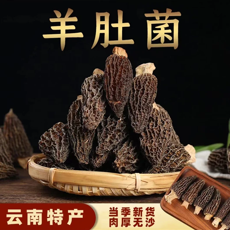 高山羊肚菌【4-7cm】 农家特产羊肚菌菇蘑煲汤批发美味