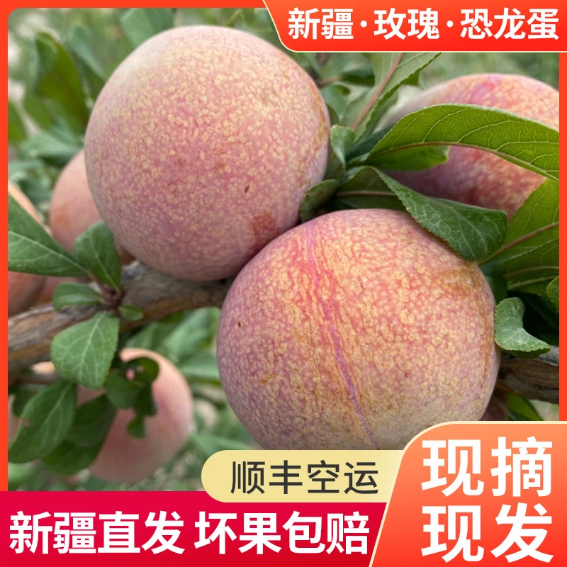 【新疆直发】正宗恐龙蛋李子新鲜水果当季红心女王李子当季整箱3斤