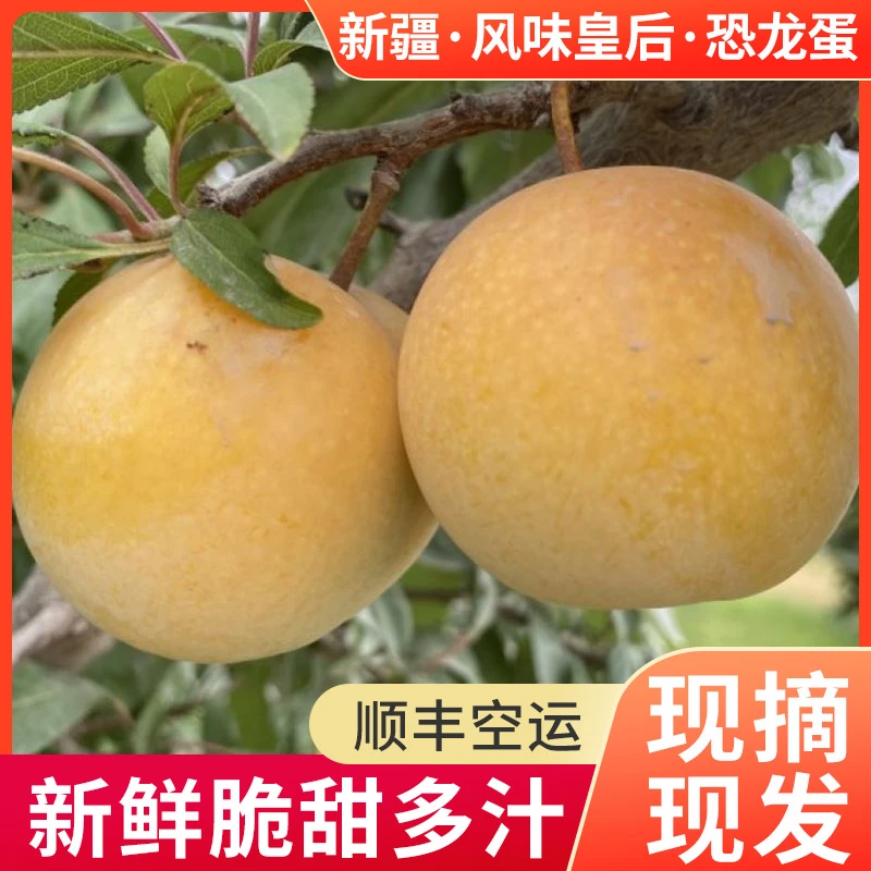 新疆恐龙蛋李子风味皇后当季新鲜水果香甜多汁3斤顺丰