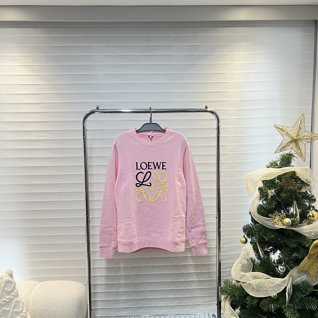 99新/LOEWE/loewe/罗意威刺绣标语长袖卫衣/M码/公价6k/1151