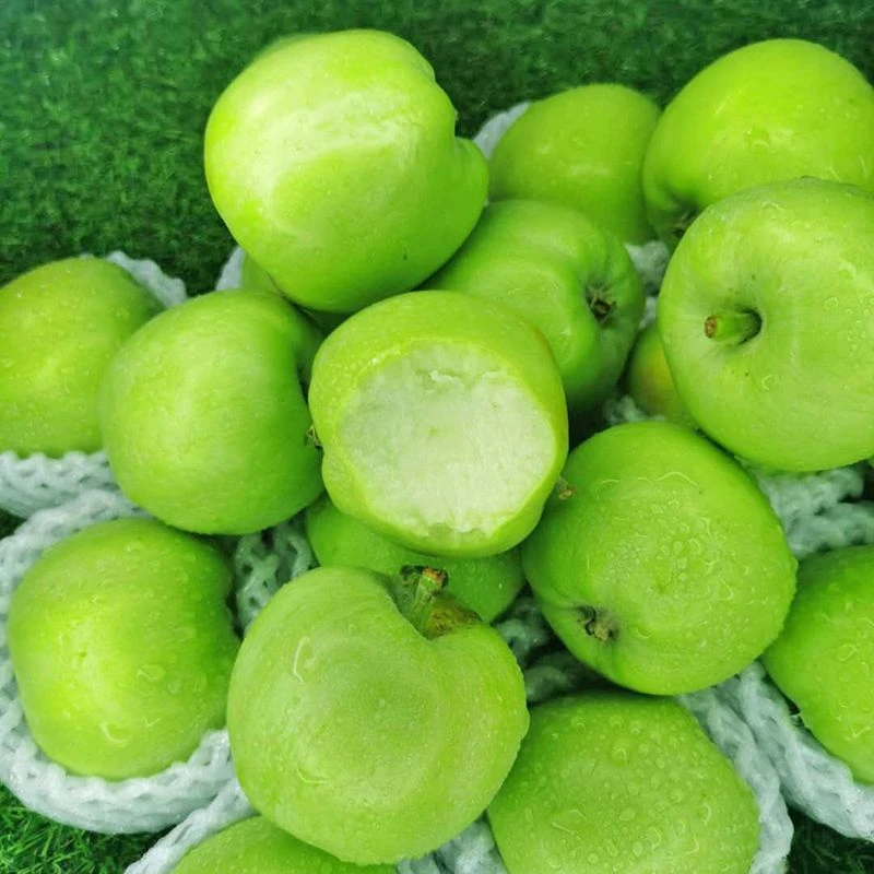 正宗昭通纯甜青苹果新鲜果园现摘纯甜无酸坏果包赔福利品