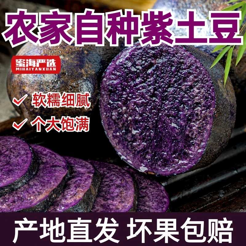 【蜜海严选】紫土豆5斤小果家庭装（20-30个左右）
