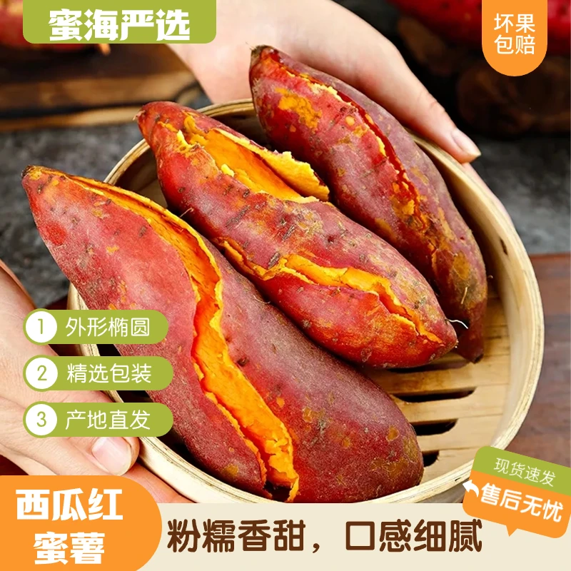 【蜜海严选】西瓜红番薯带箱5斤左右单果110g+ 9-15个左右坏果包赔w