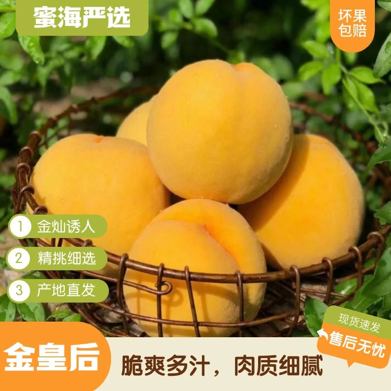 【蜜海严选】金皇后黄桃4.5斤装脆爽可口肉质细腻现摘现发