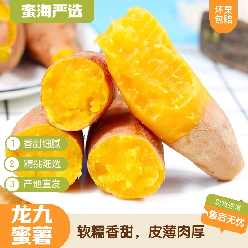 【蜜海严选】龙九蜜薯4.5斤家庭装7-11个左右软糯香甜皮薄绵密新鲜