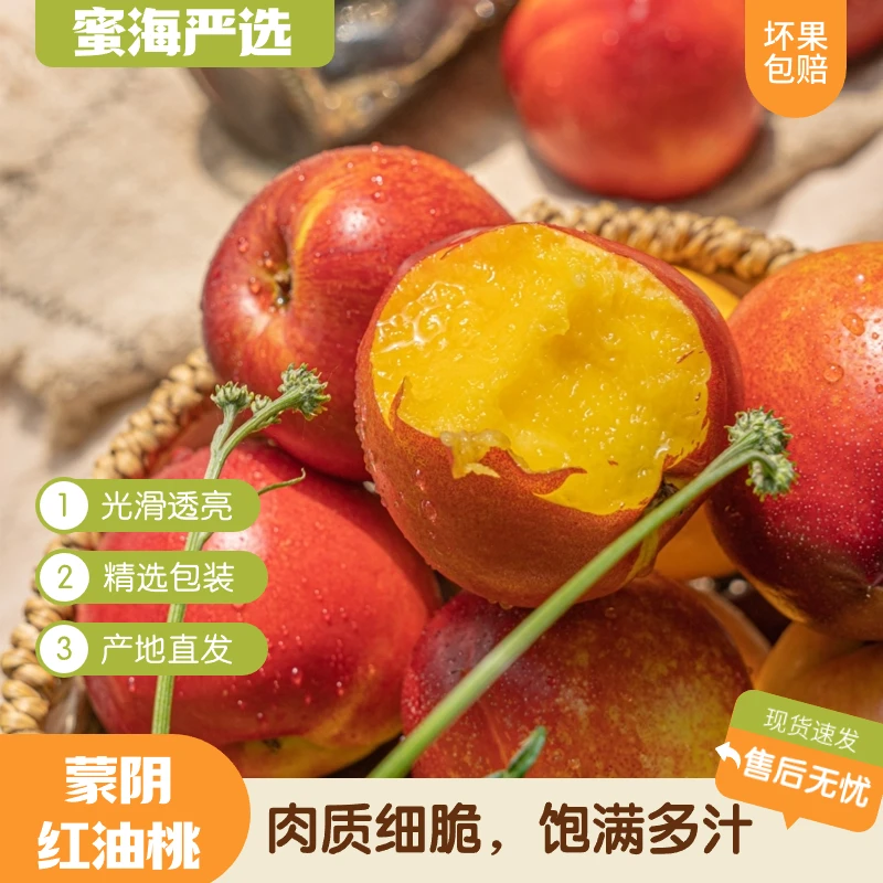 【蜜海严选】正宗山东沂蒙山红油桃2/3/4斤装饱满多汁黄心脆甜美味