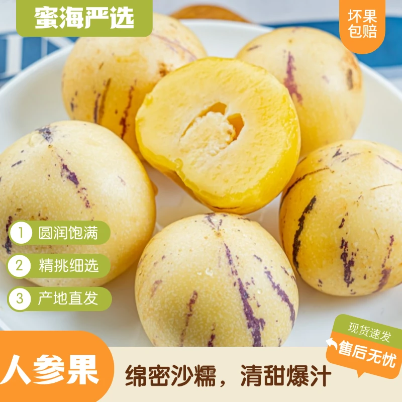 【蜜海严选】云南人参果4.5斤绵密沙糯清甜爆汁现摘现发新鲜水果