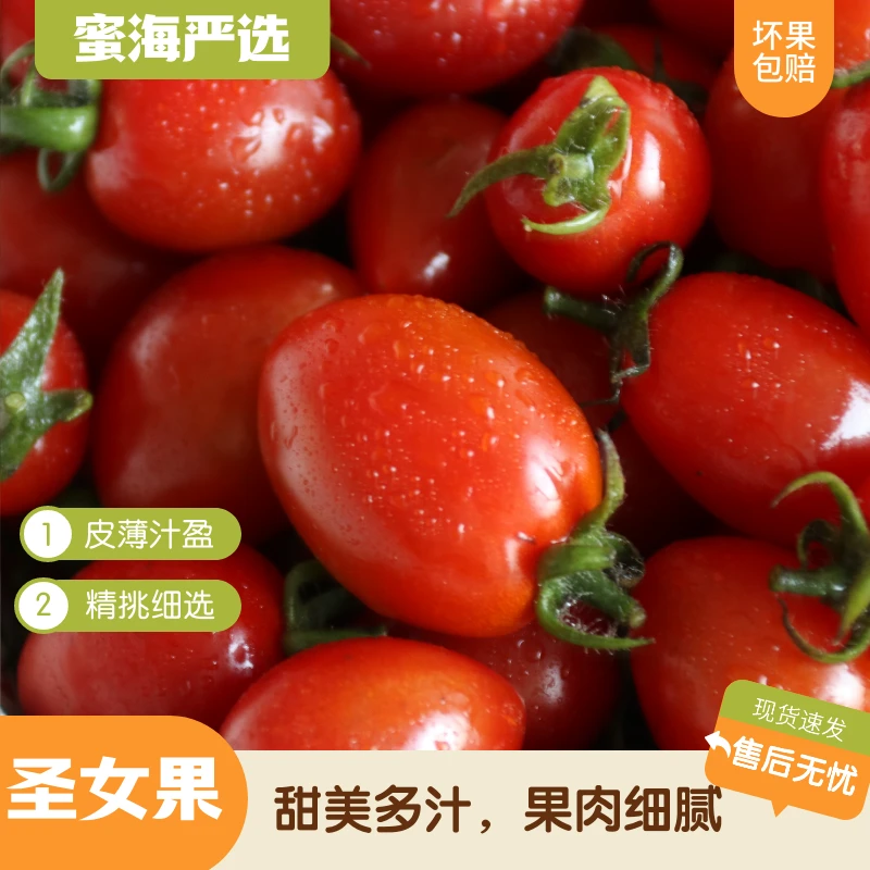 【蜜海严选】圣女果4.5-5斤甜美多汁果肉细腻