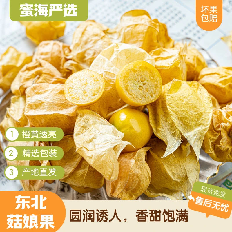 【蜜海严选】东北菇娘果含箱2斤橙黄透亮圆润诱人香甜饱满