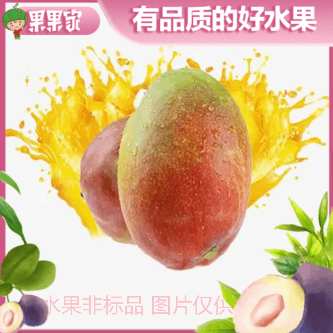 国产澳芒 880-920g