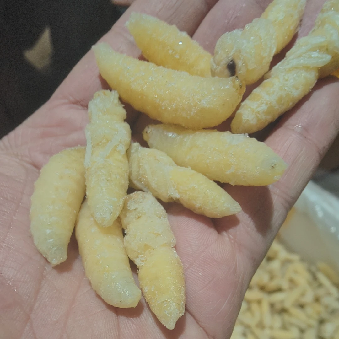 云南野生蜂蛹土蜂地蜂金环虎头蜂一二级混合深山美味顺丰包邮500g