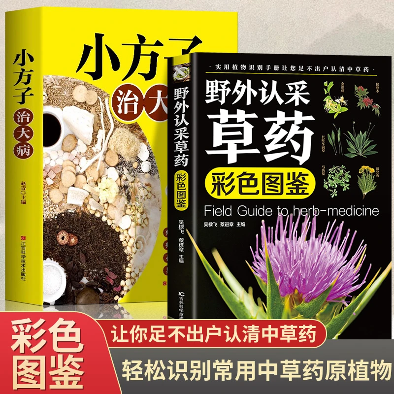 野外认采草药彩色图鉴图解中华汉方快速认药彩图全套中草药学野外