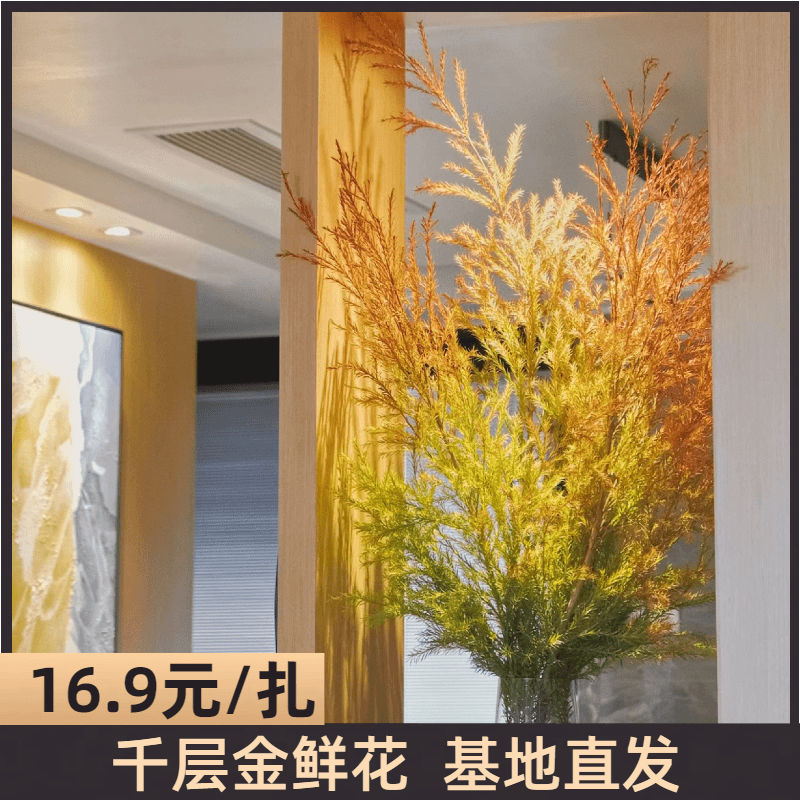 千层金鲜花 基地直发鲜切绿植水培植物室内懒人好养干花高级干花