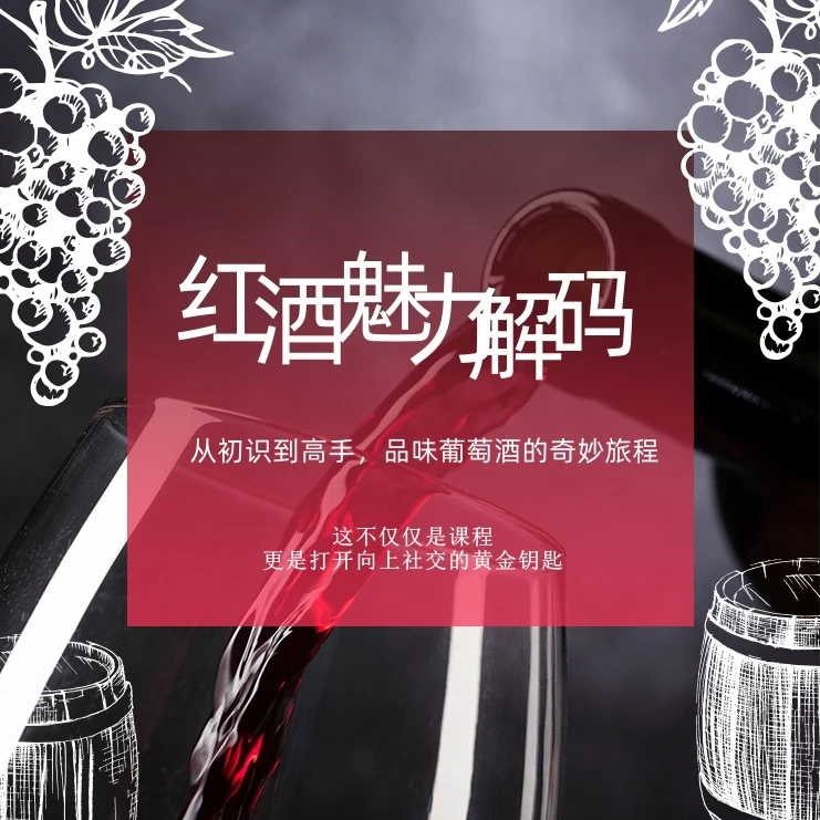 红酒魅力解码--打开成功社交之门的黄金钥匙