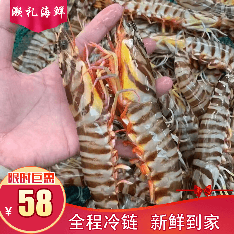 鲜冻花虾 九节虾 9两装