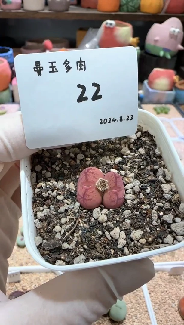 【闪购商品】8.23-22云