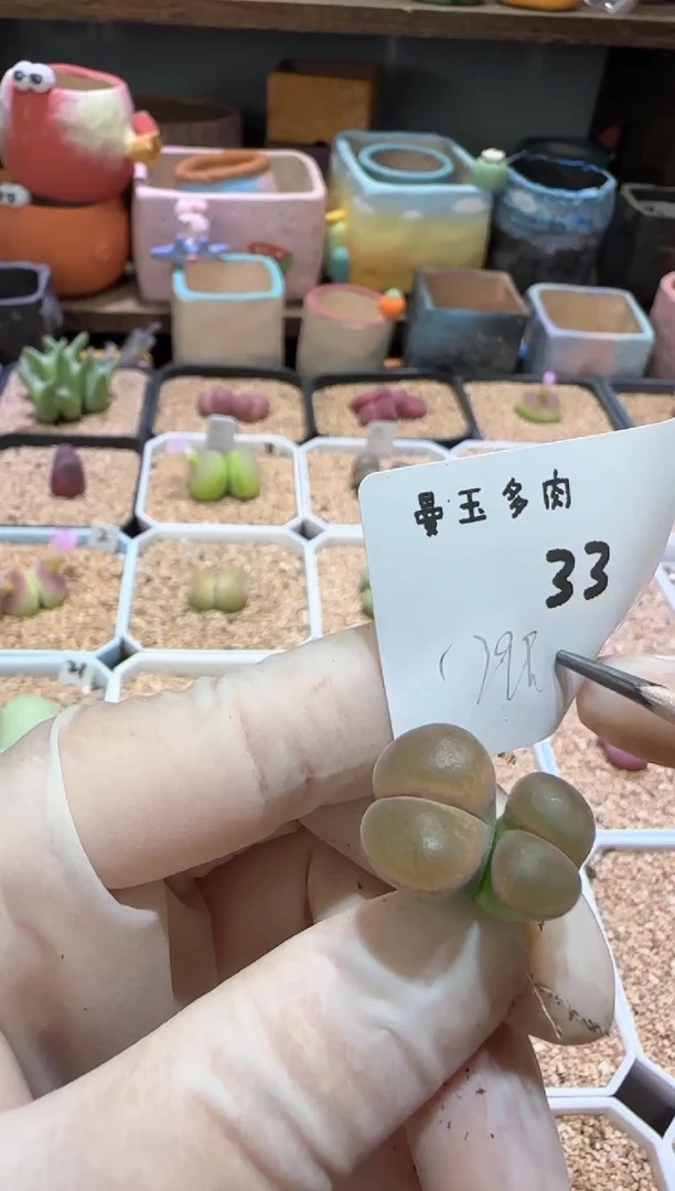 【闪购商品】8.26-33